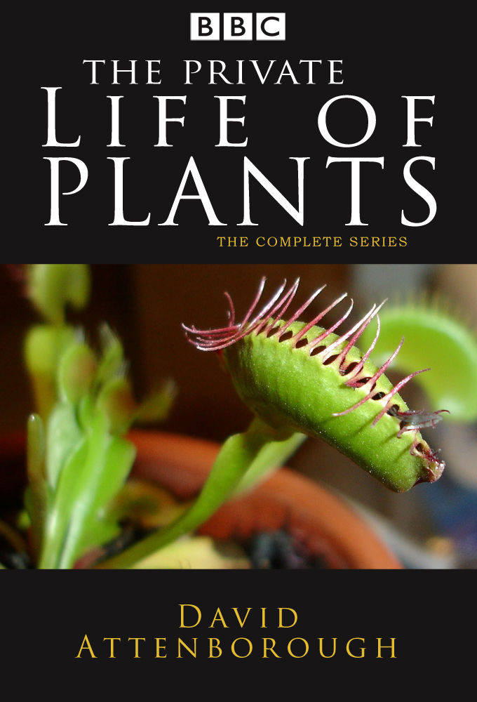 The Private Life of Plants ne zaman