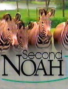 Second Noah ne zaman