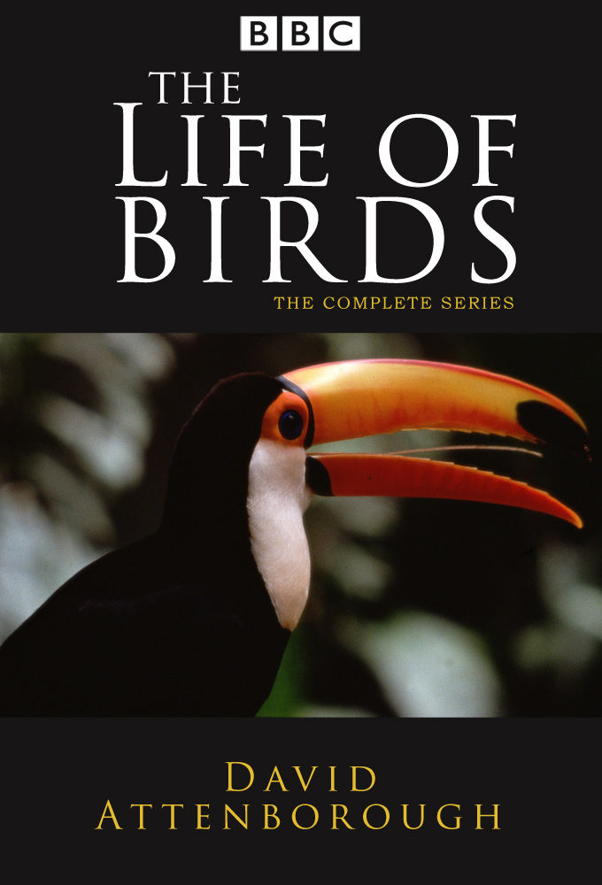 The Life of Birds ne zaman