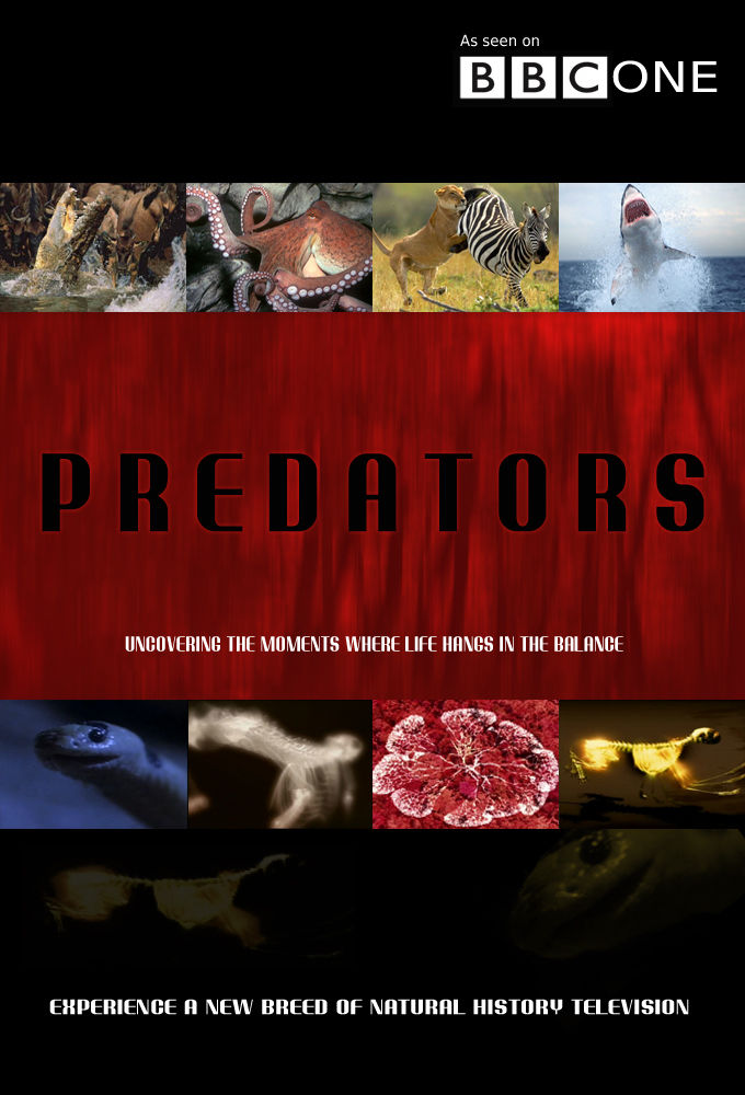 Predators ne zaman