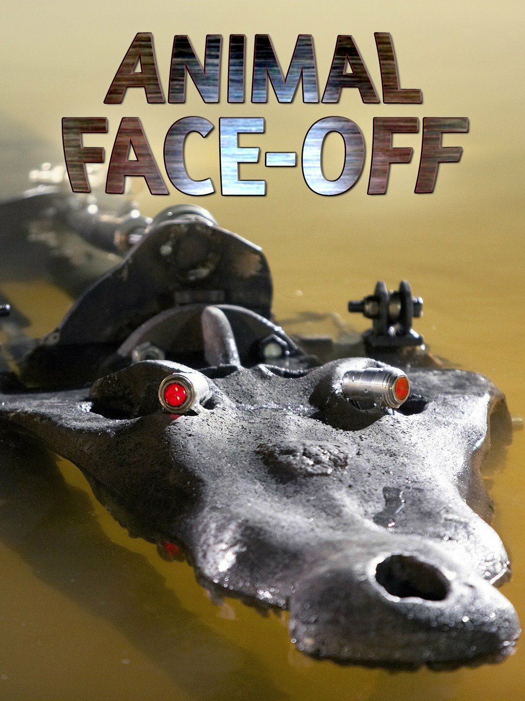 Animal Face-Off ne zaman