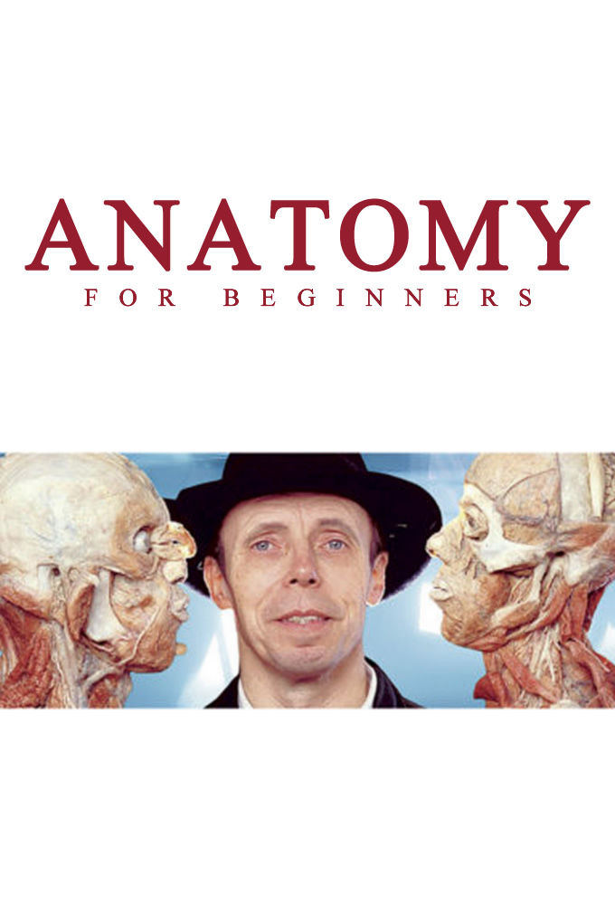 Anatomy for Beginners Yeni Bölüm Ne Zaman? - NeZaman.be