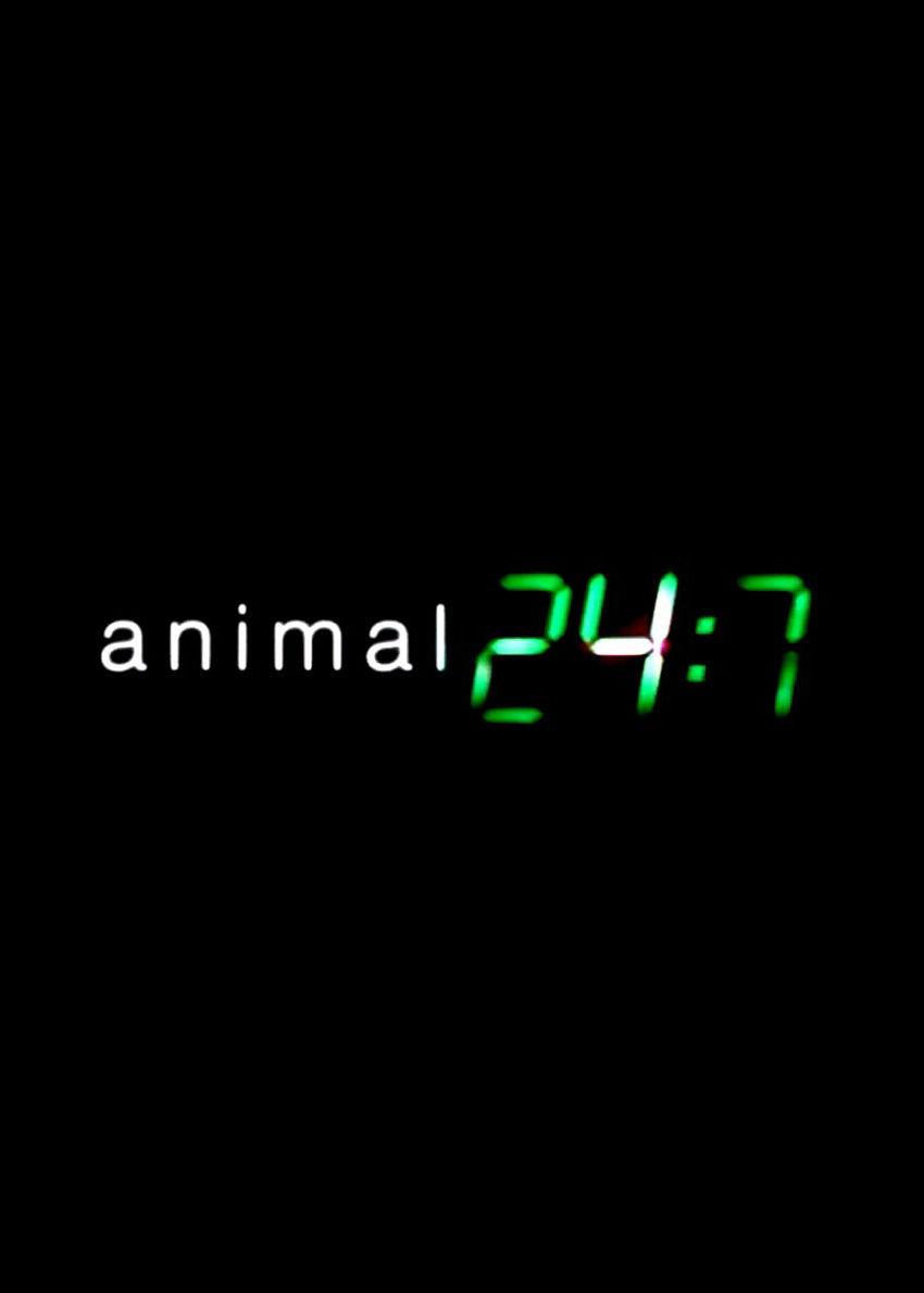 Animal 24:7 ne zaman