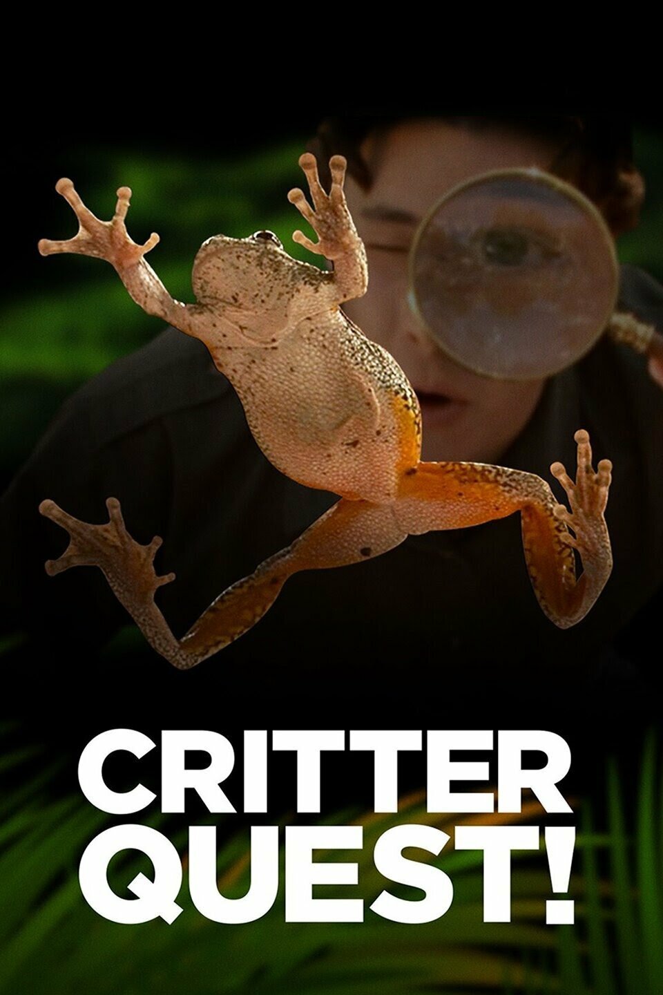 Critter Quest! ne zaman