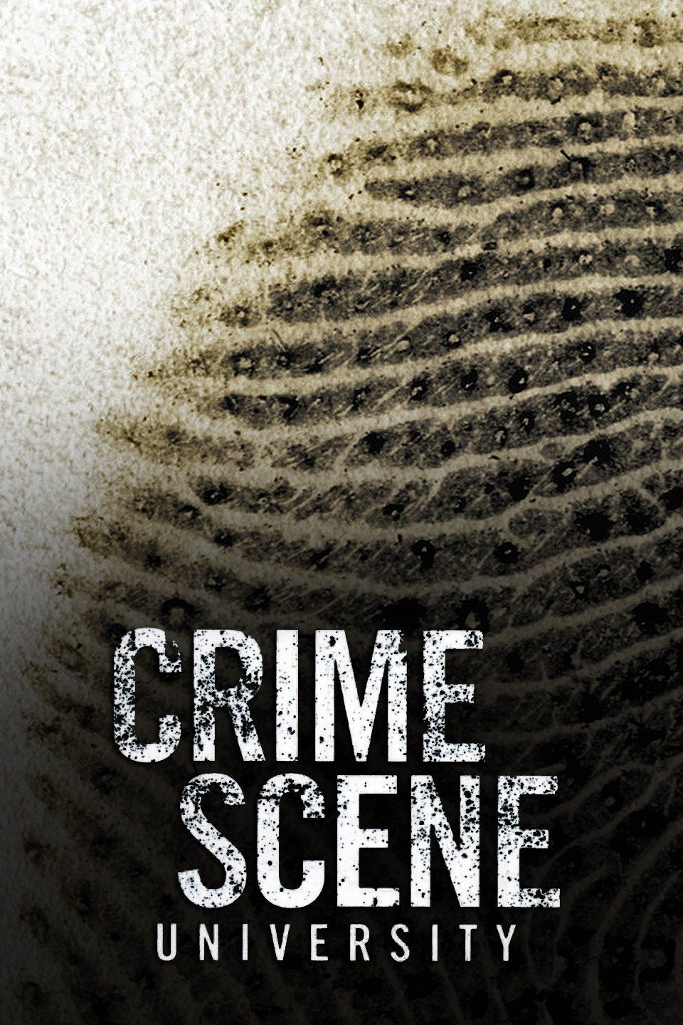 Crime Scene University ne zaman