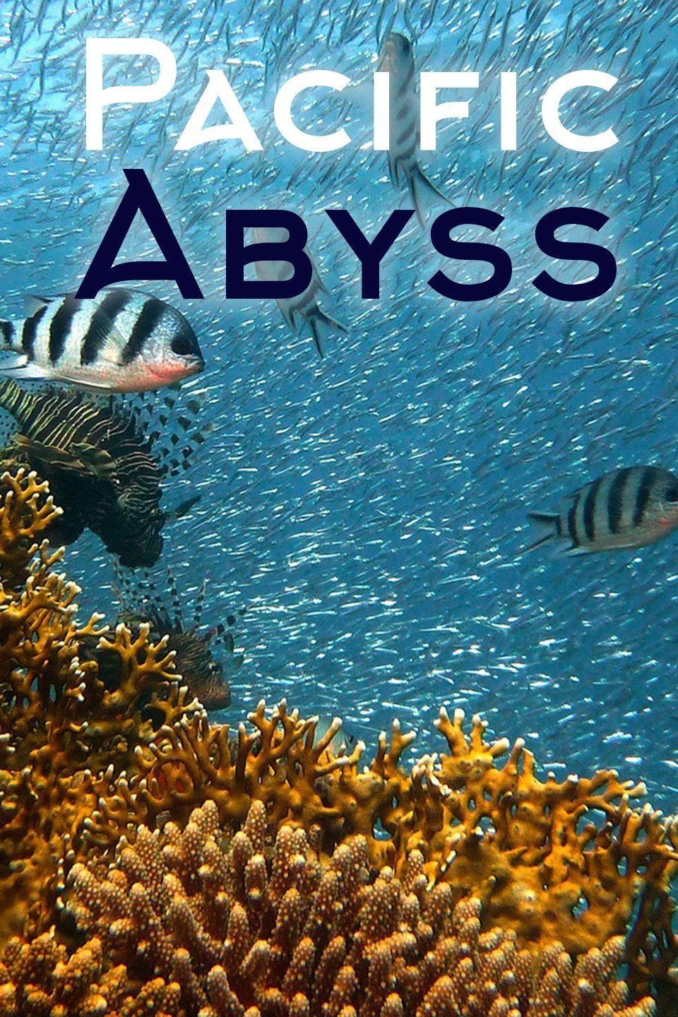 Pacific Abyss ne zaman