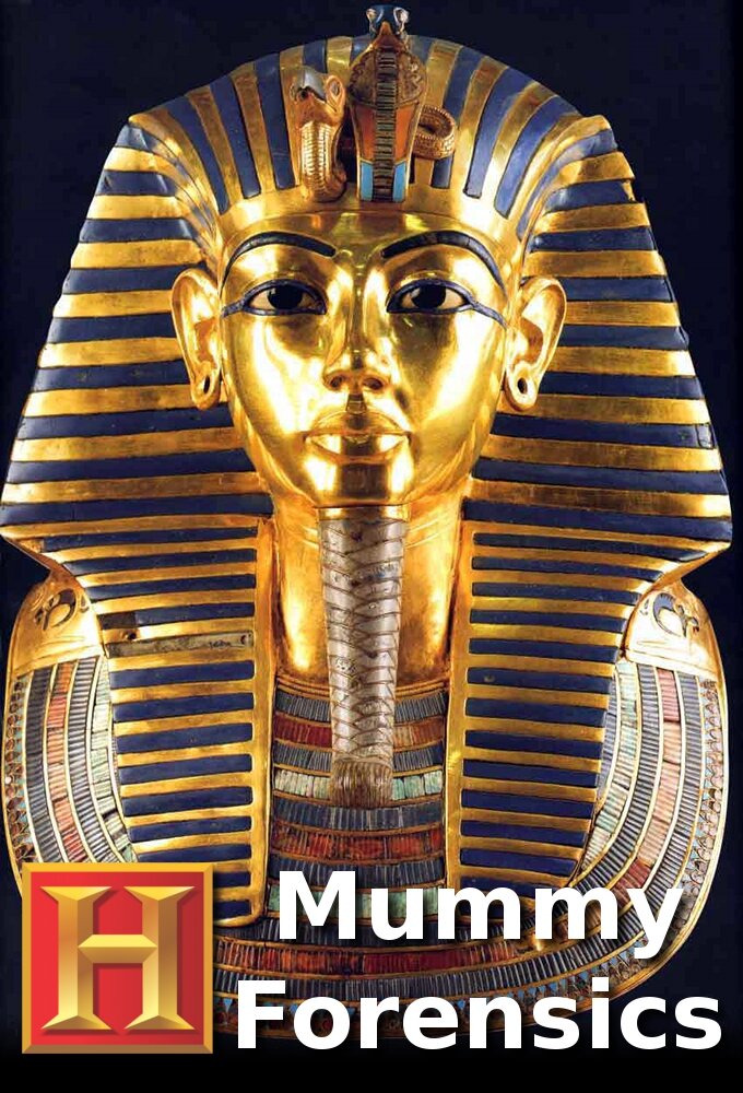 Mummy Forensics ne zaman
