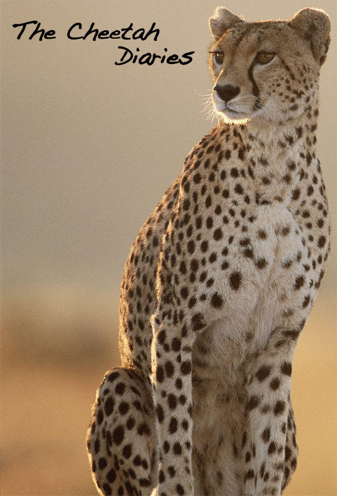 The Cheetah Diaries ne zaman