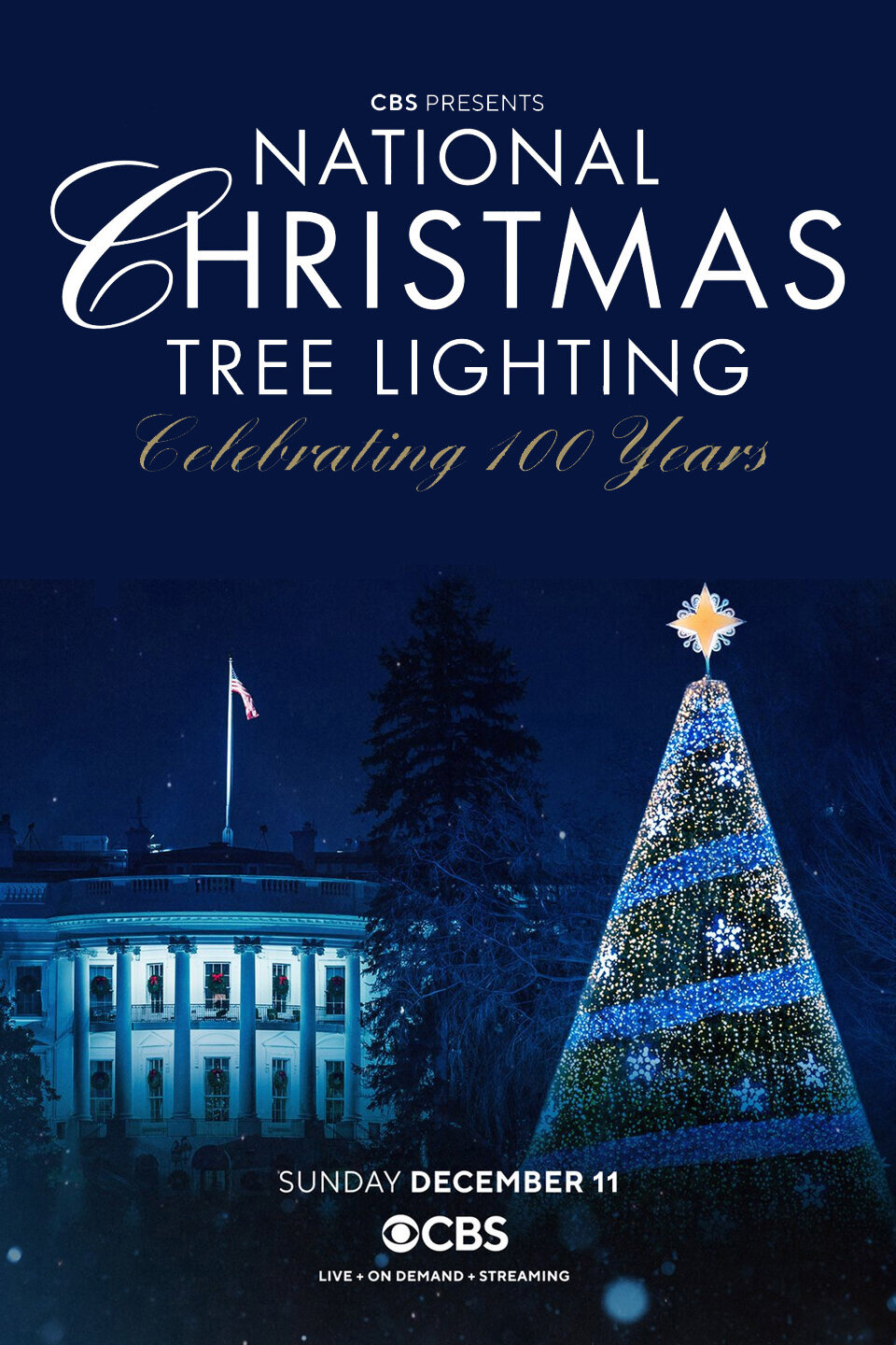 National Christmas Tree Lighting ne zaman