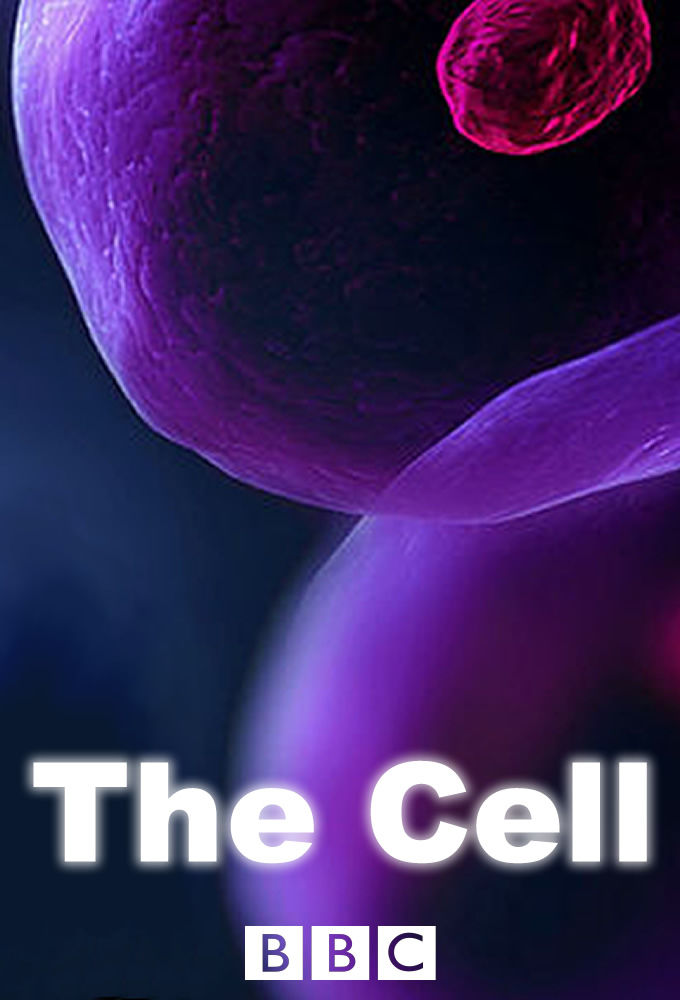 The Cell ne zaman