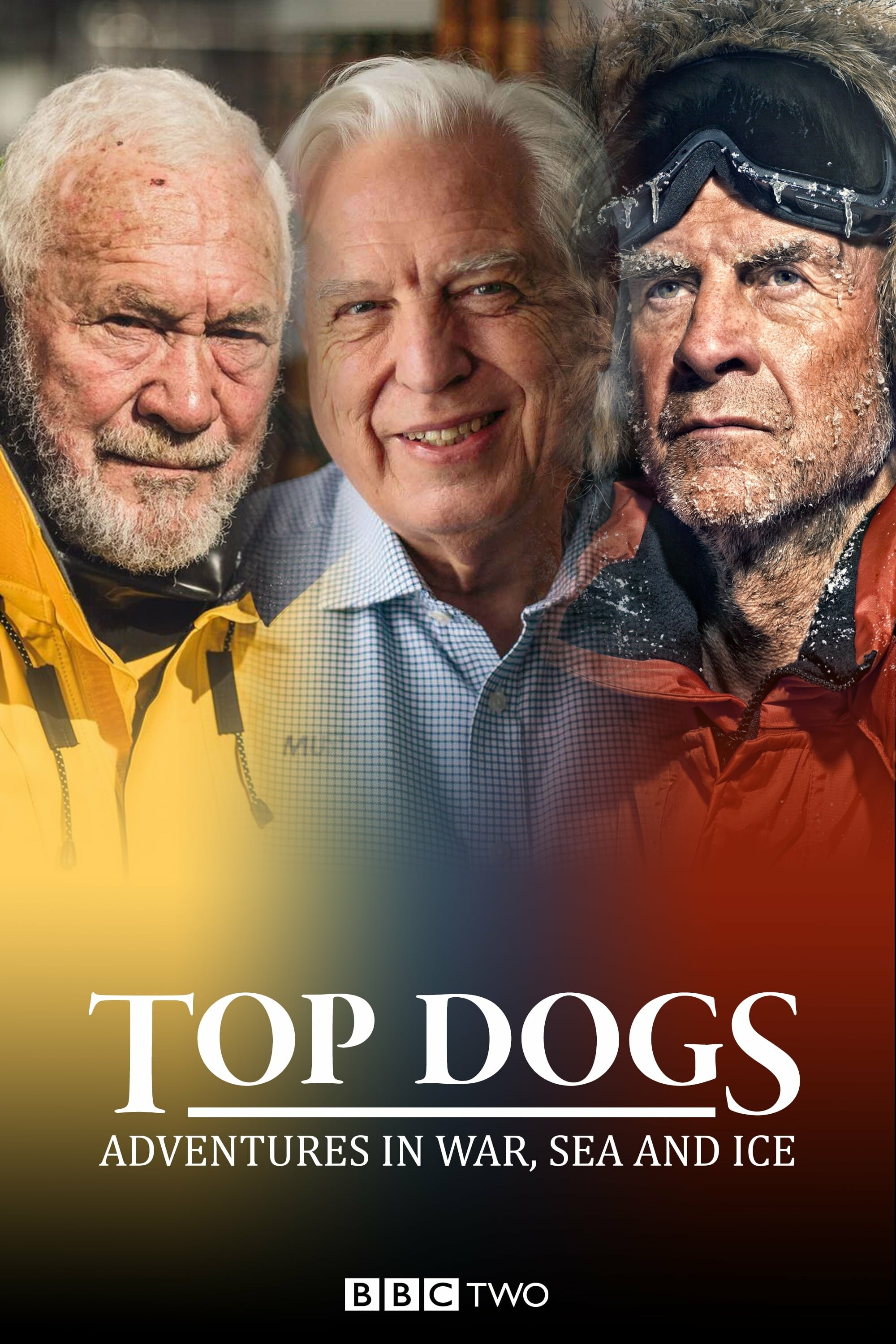 Top Dogs: Adventures in War, Sea and Ice ne zaman