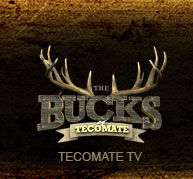 The Bucks of Tecomate ne zaman