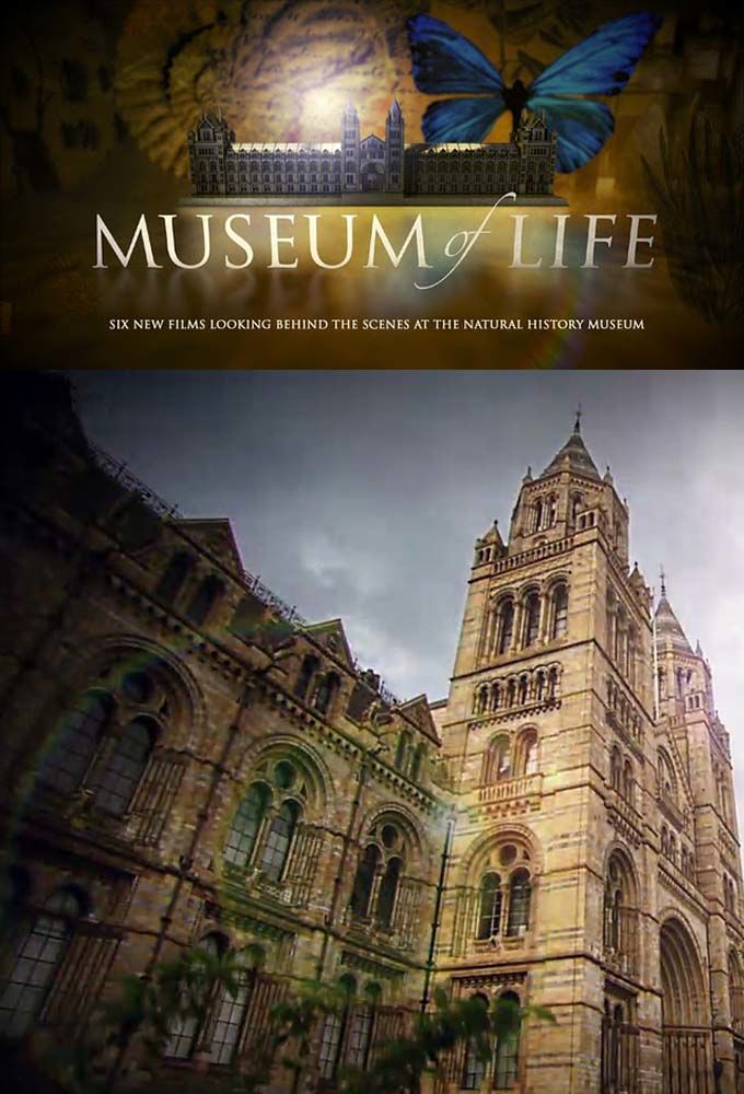 Museum of Life ne zaman