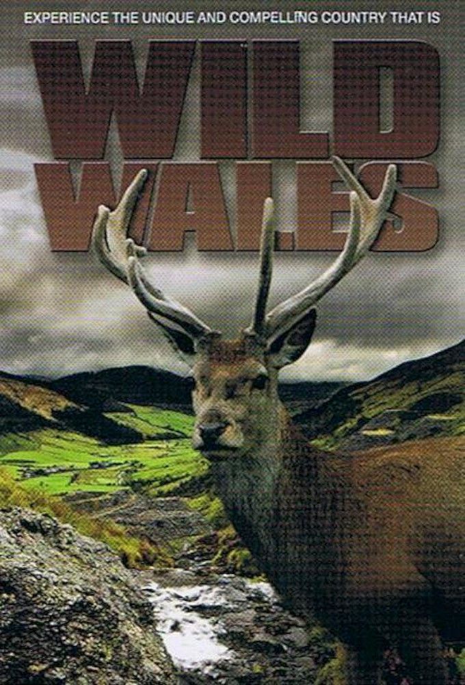 Wild Wales ne zaman