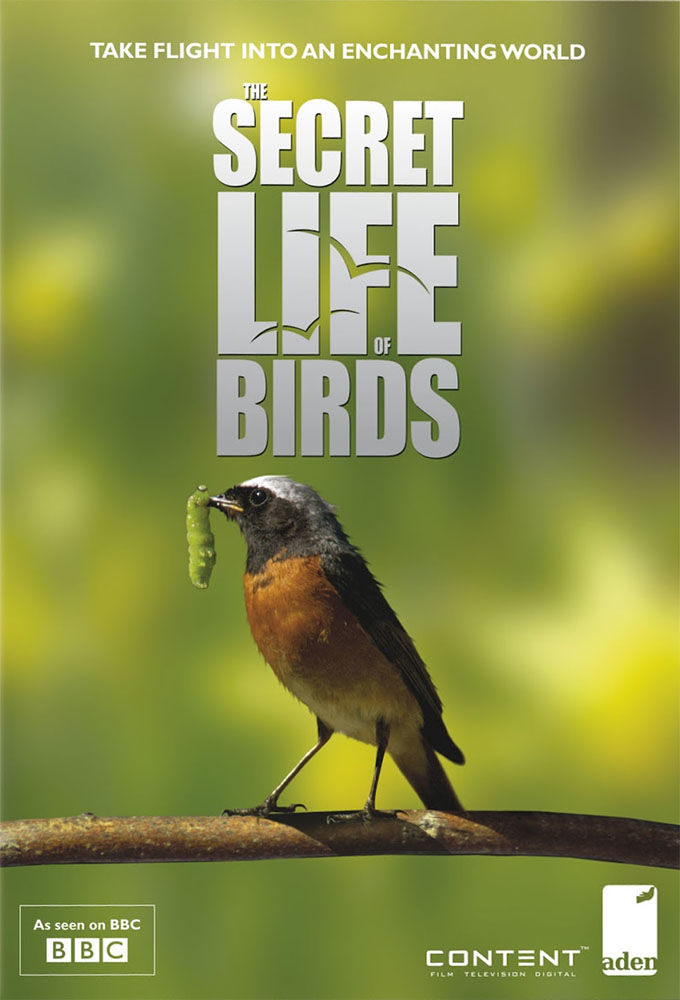Iolo's Secret Life of Birds ne zaman