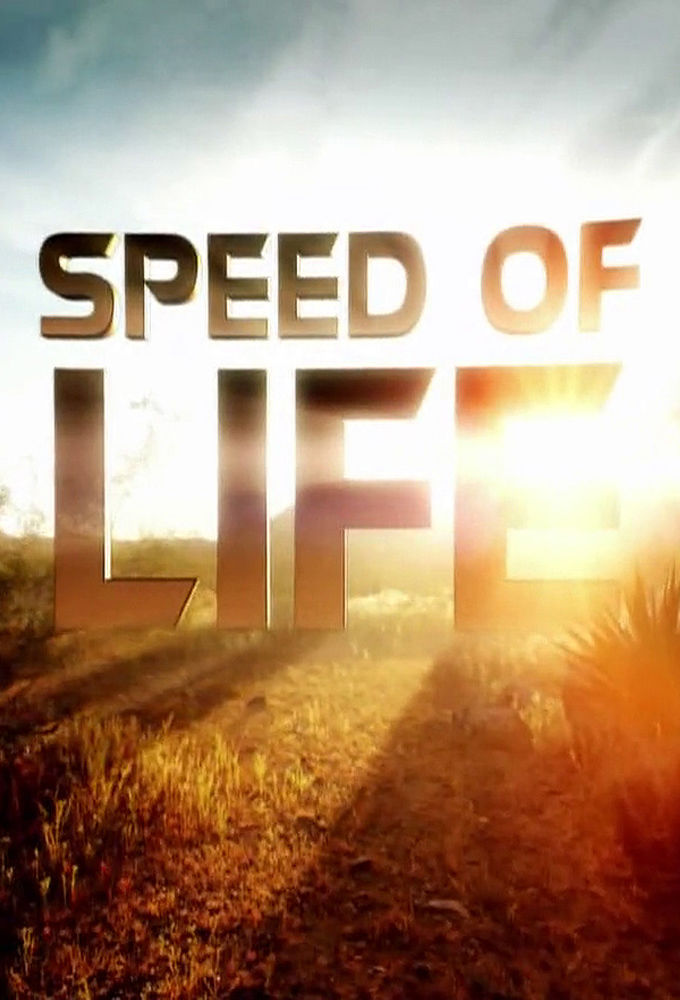 Speed of Life ne zaman