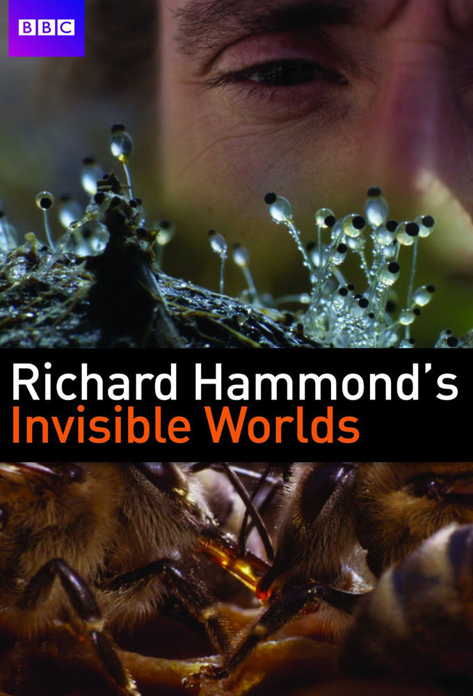 Richard Hammond's Invisible Worlds ne zaman