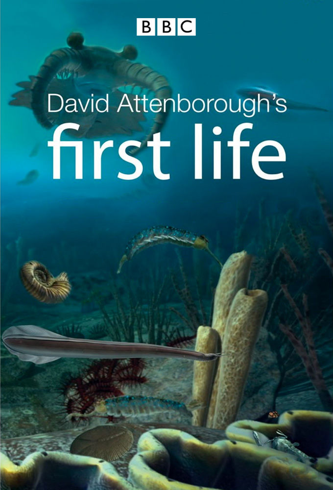 David Attenborough's First Life ne zaman