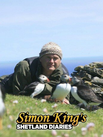 Simon King's Shetland Diaries ne zaman