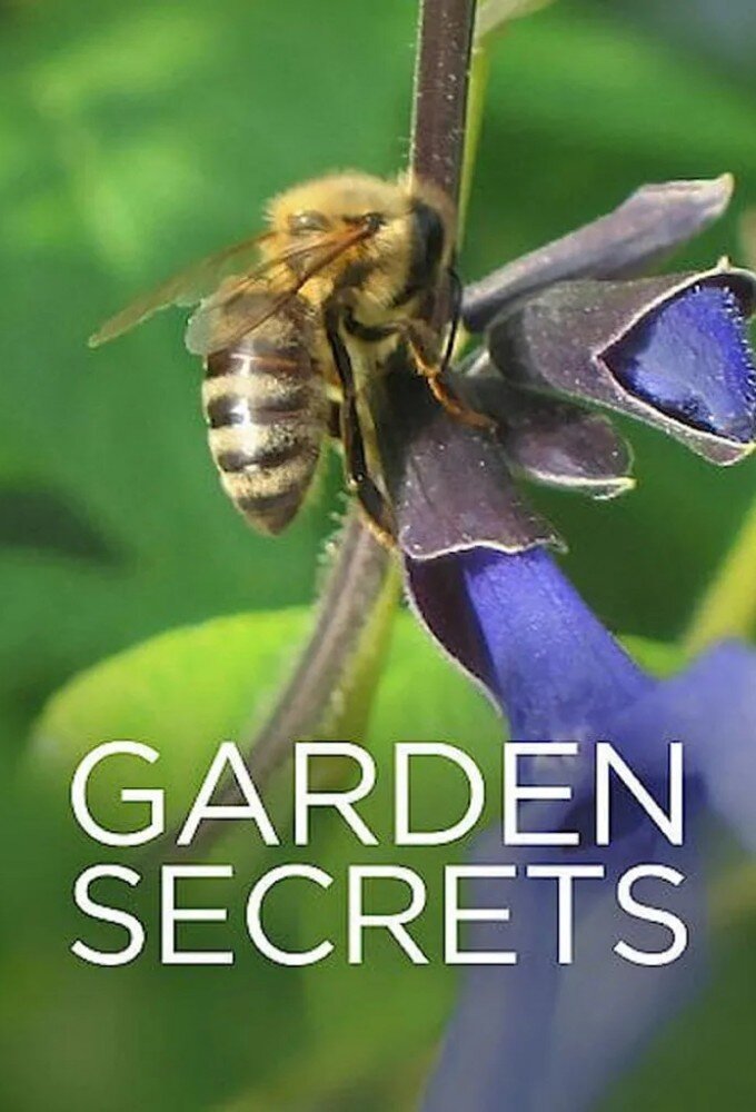 Garden Secrets ne zaman