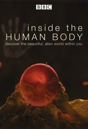 Inside the Human Body ne zaman