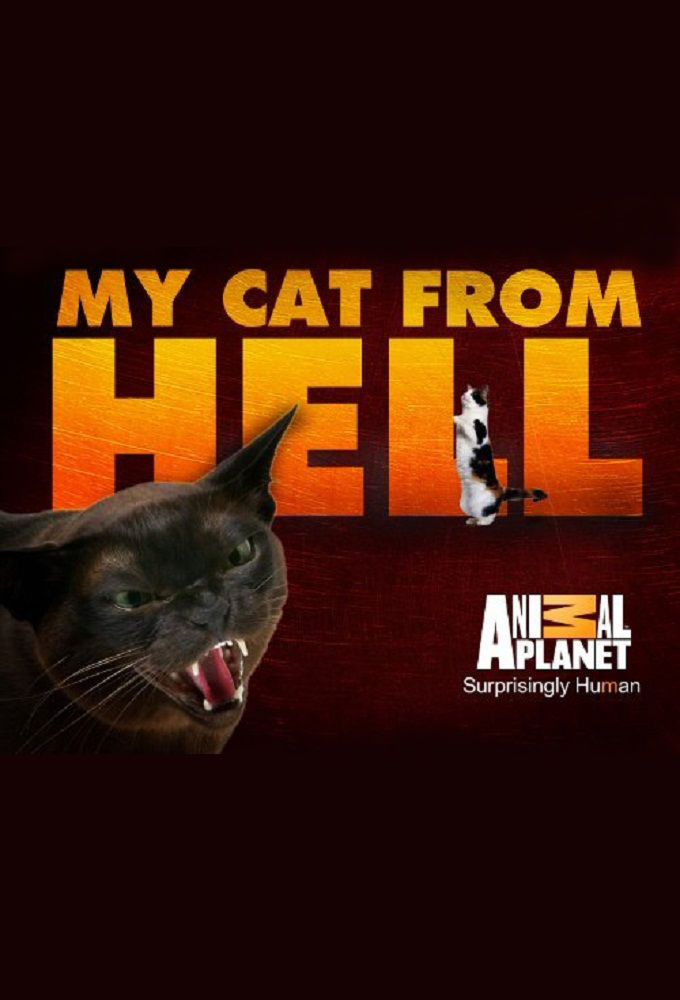 My Cat from Hell ne zaman
