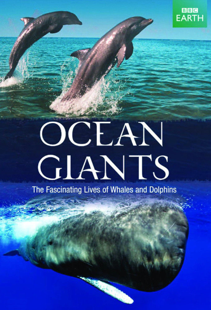 Ocean Giants ne zaman