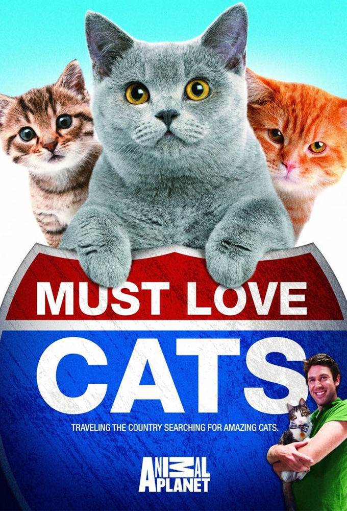 Must Love Cats ne zaman
