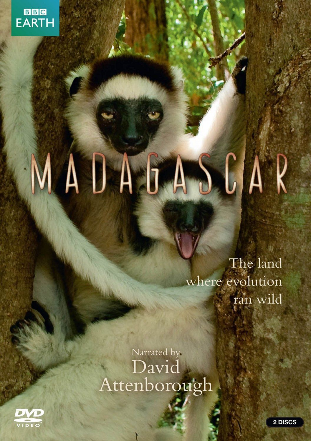 Madagascar ne zaman
