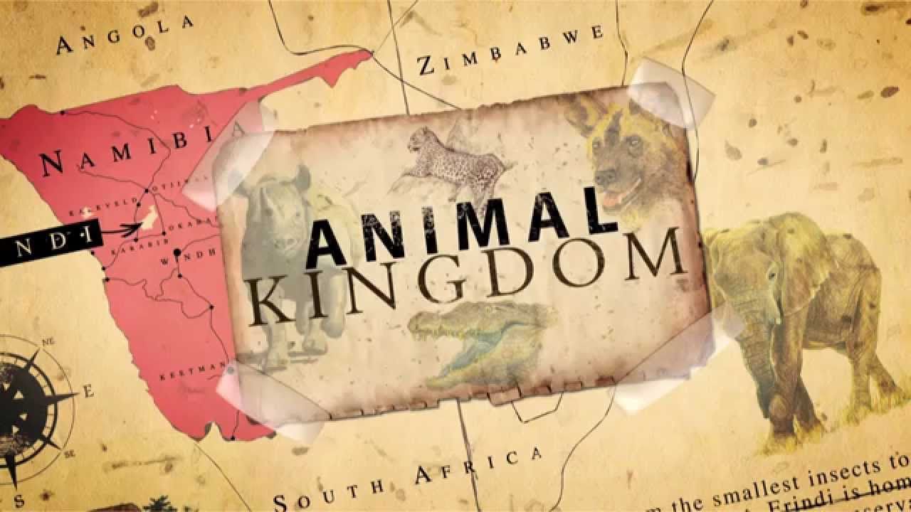 Animal Kingdom ne zaman