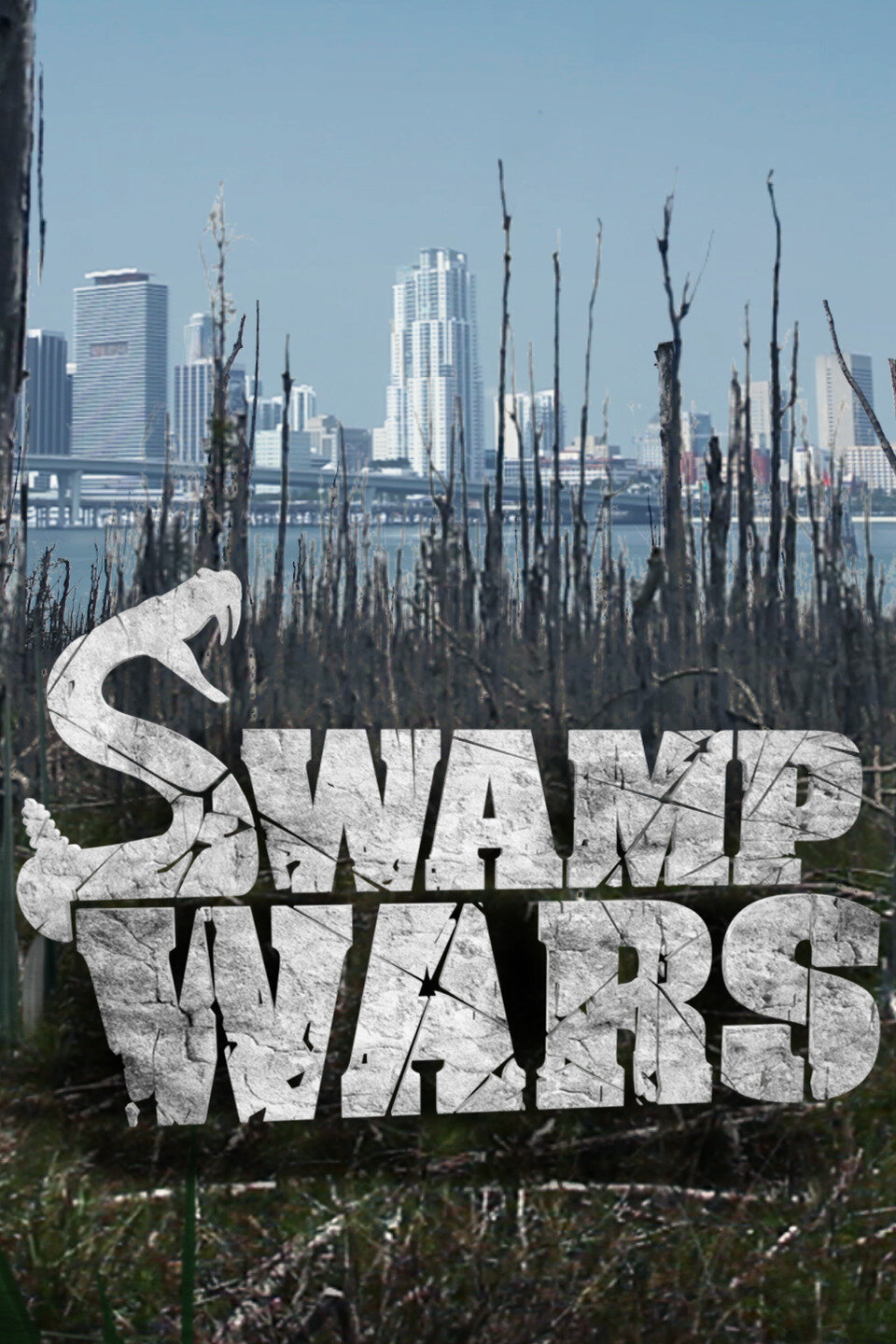 Swamp Wars ne zaman