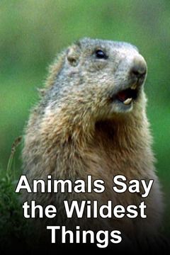 Animals Say the Wildest Things ne zaman