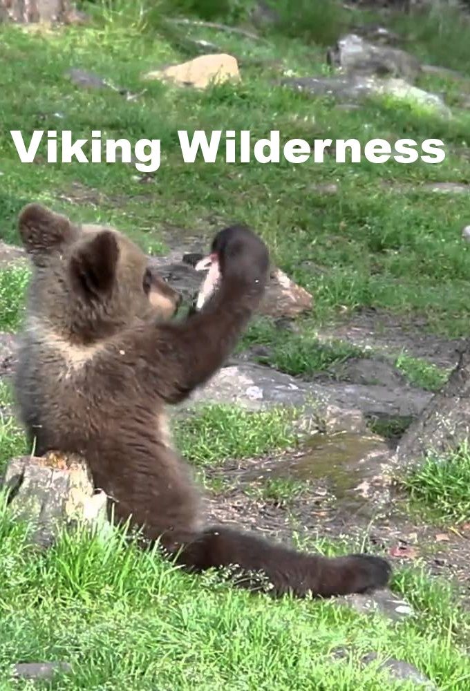 Viking Wilderness ne zaman