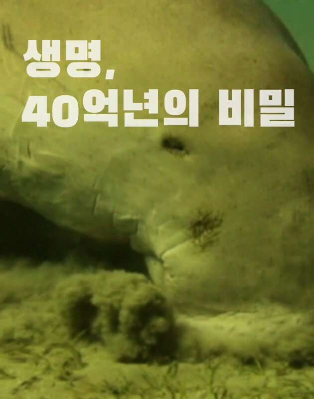 History of Life: A Study in Evolution ne zaman