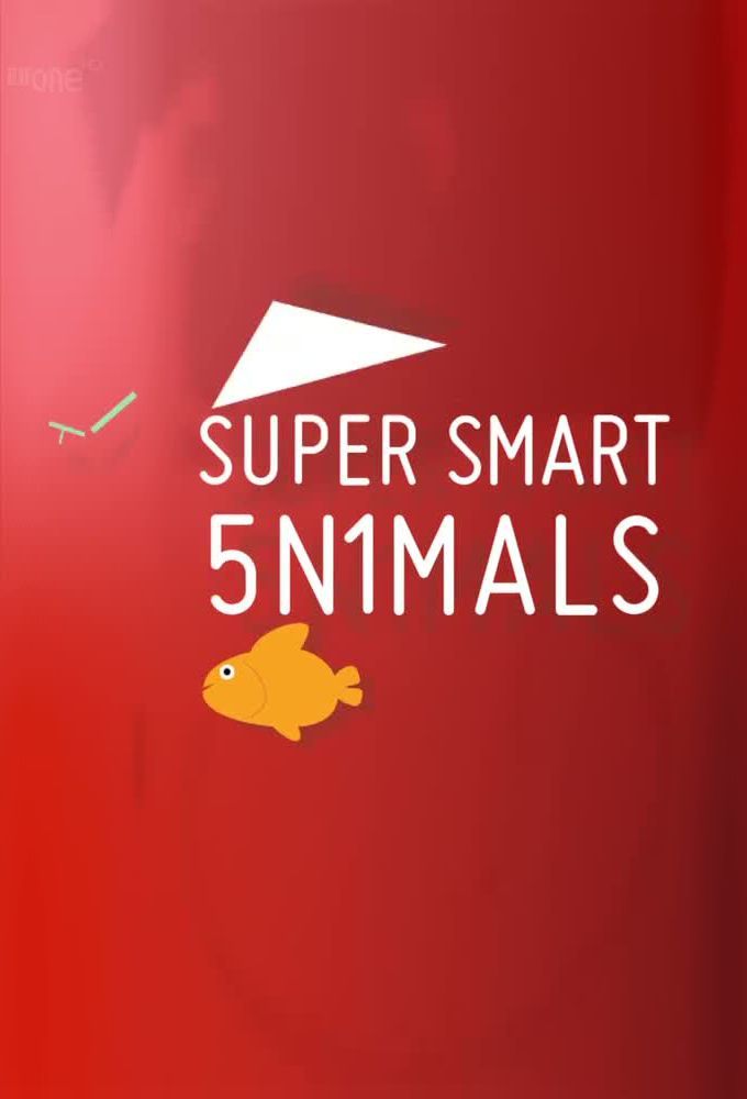 Super Smart Animals ne zaman