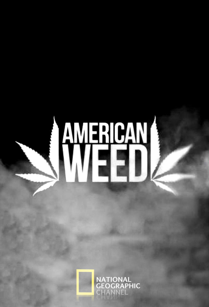 American Weed ne zaman