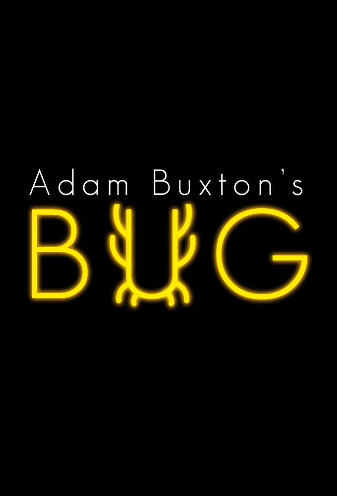 Adam Buxton's Bug ne zaman