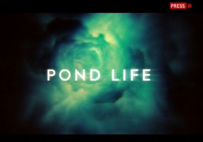 Pond Life ne zaman