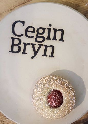 Cegin Bryn ne zaman