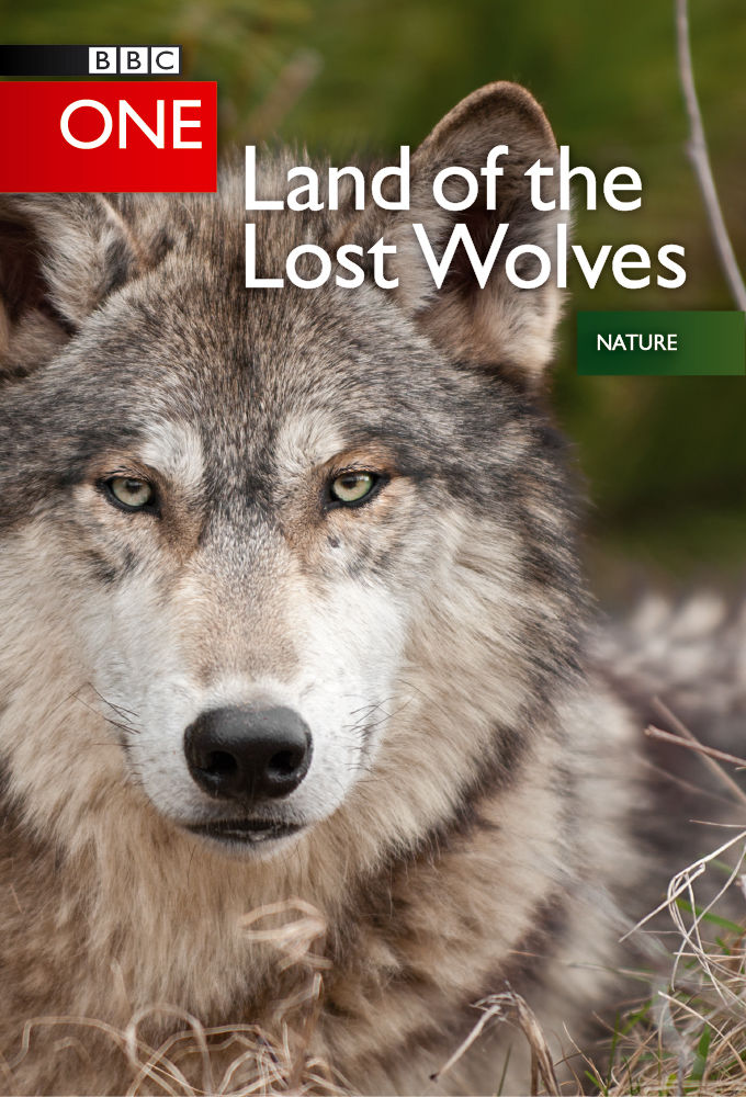 Land of the Lost Wolves ne zaman