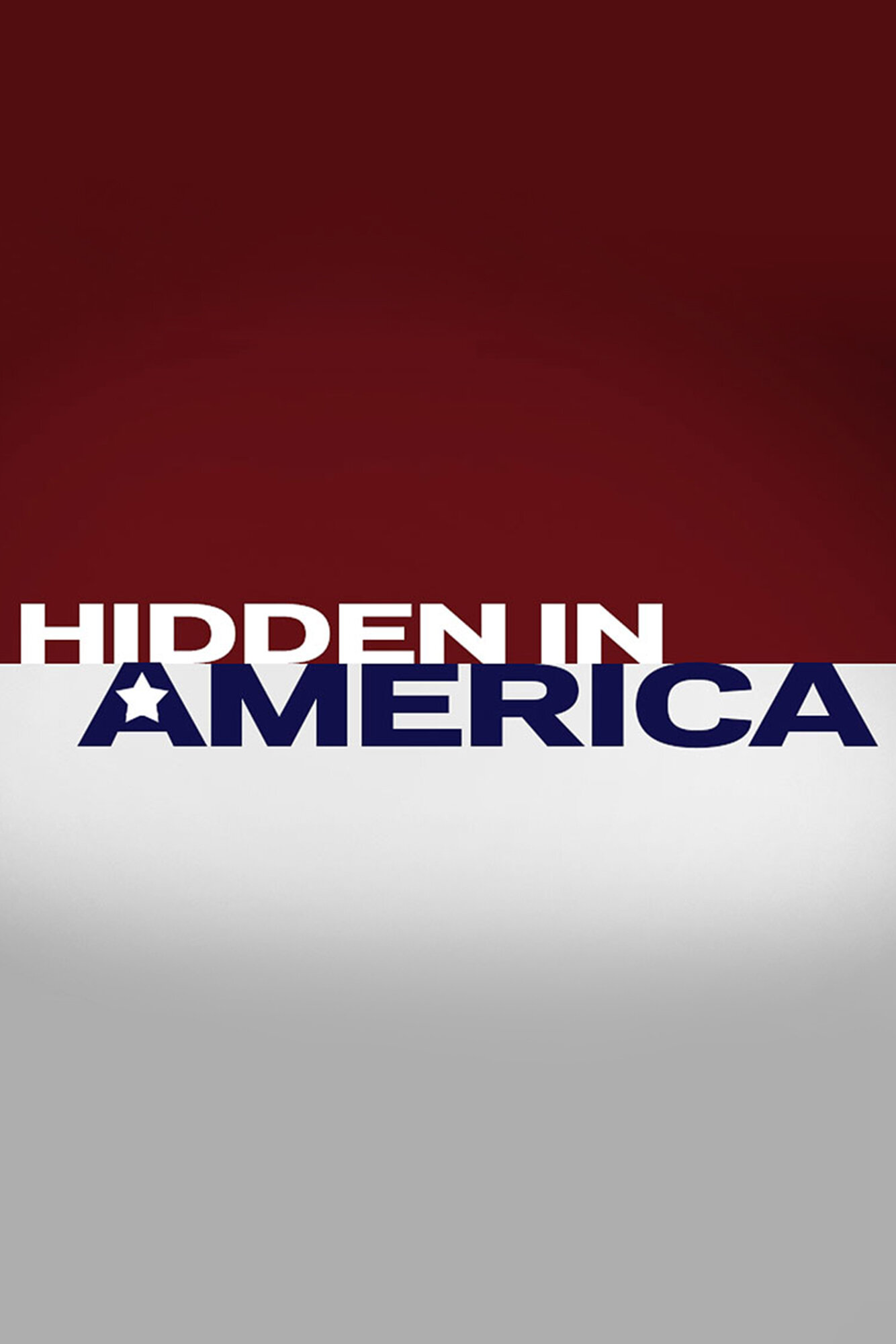 Hidden in America ne zaman
