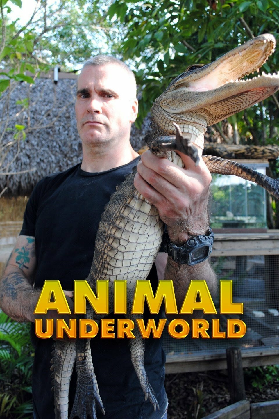 Animal Underworld ne zaman