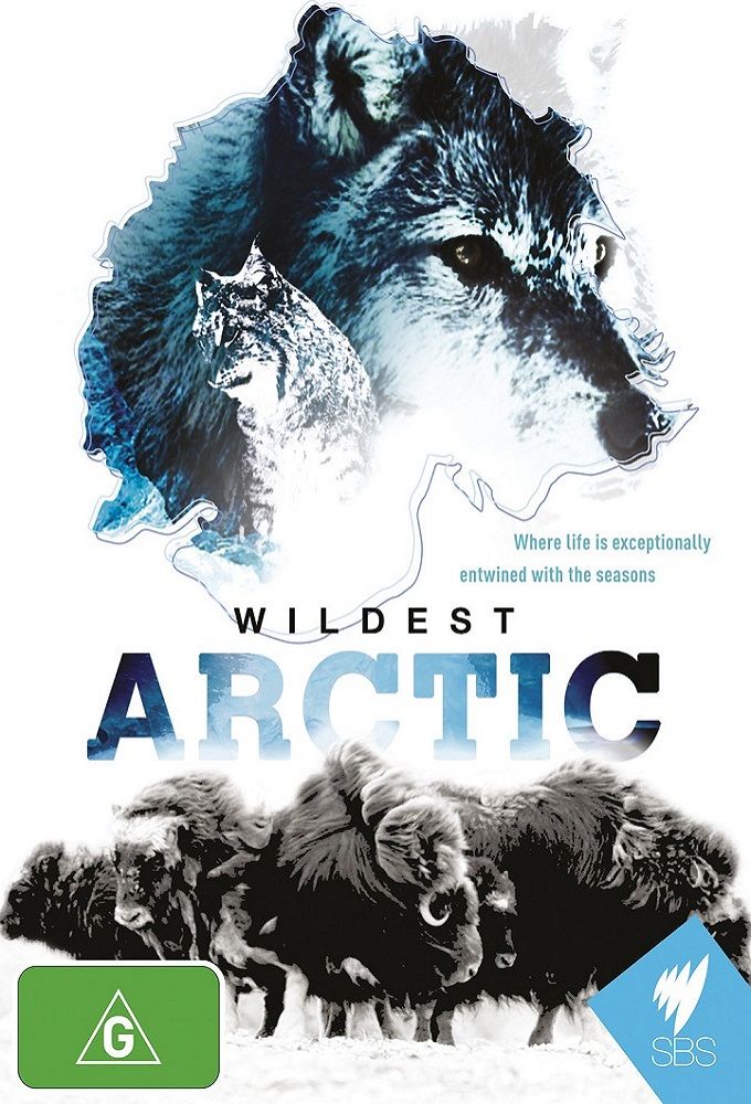Wildest Arctic ne zaman