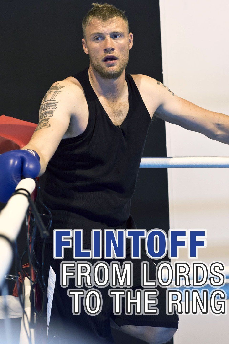 Flintoff: From Lords to the Ring ne zaman