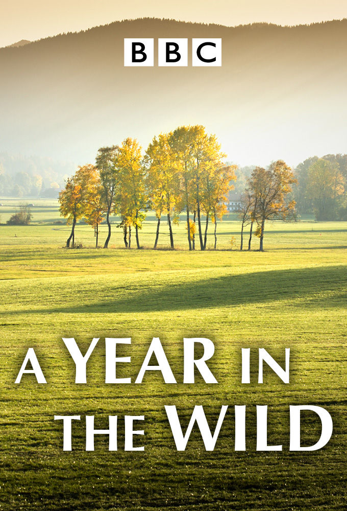 A Year in the Wild ne zaman
