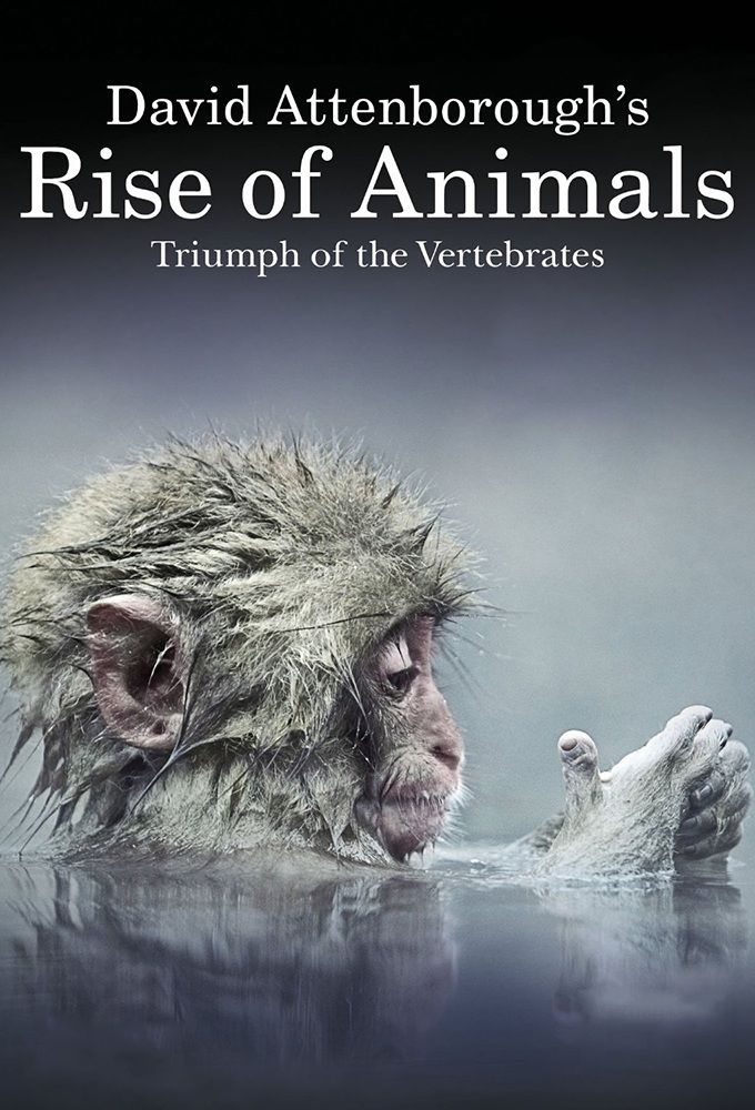 David Attenborough's Rise of Animals ne zaman