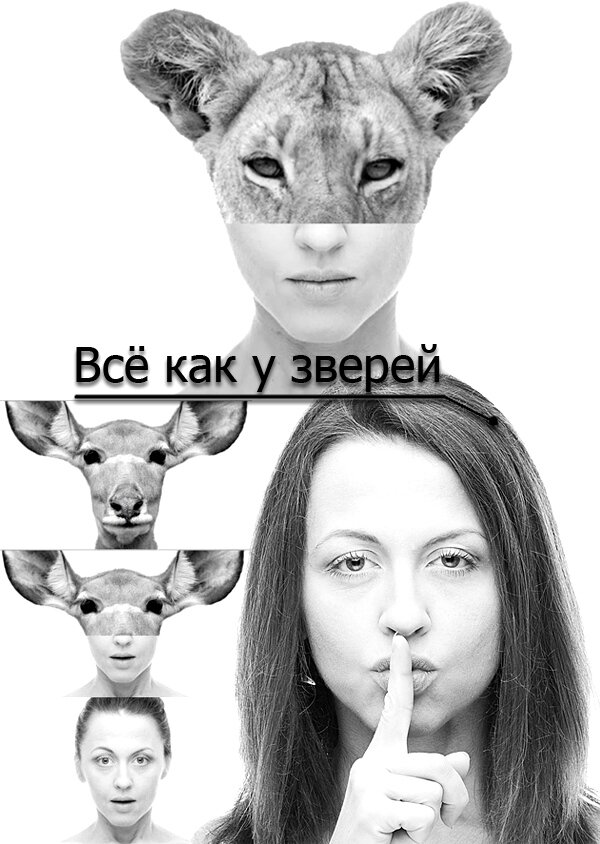 Всё как у зверей ne zaman