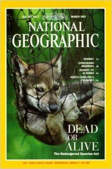 Dead or Alive ne zaman