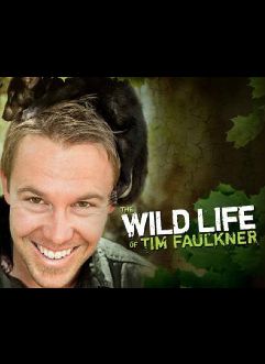 The Wild Life of Tim Faulkner ne zaman