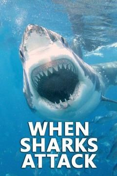 When Sharks Attack ne zaman